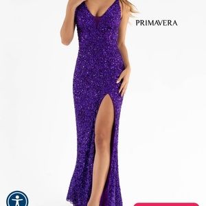 Primavera Exclusives Dress